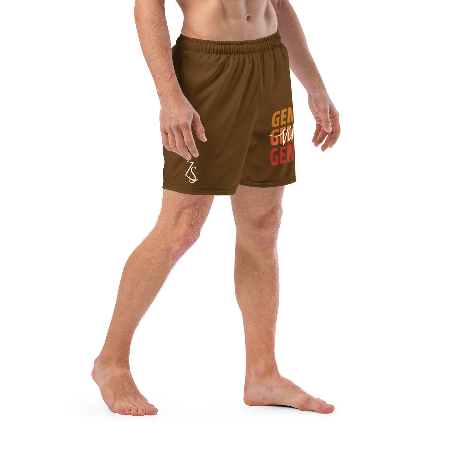 Gemini Vibes Men's swim trunks