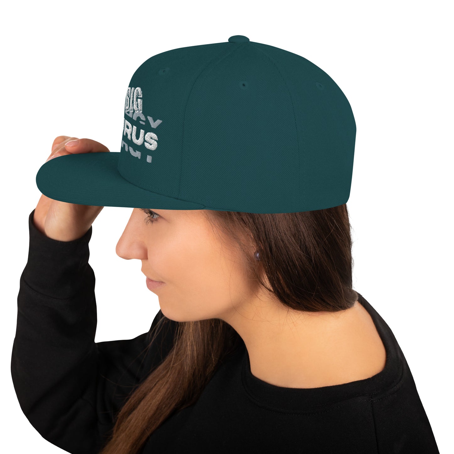 Big Taurus Energy Snapback Hat