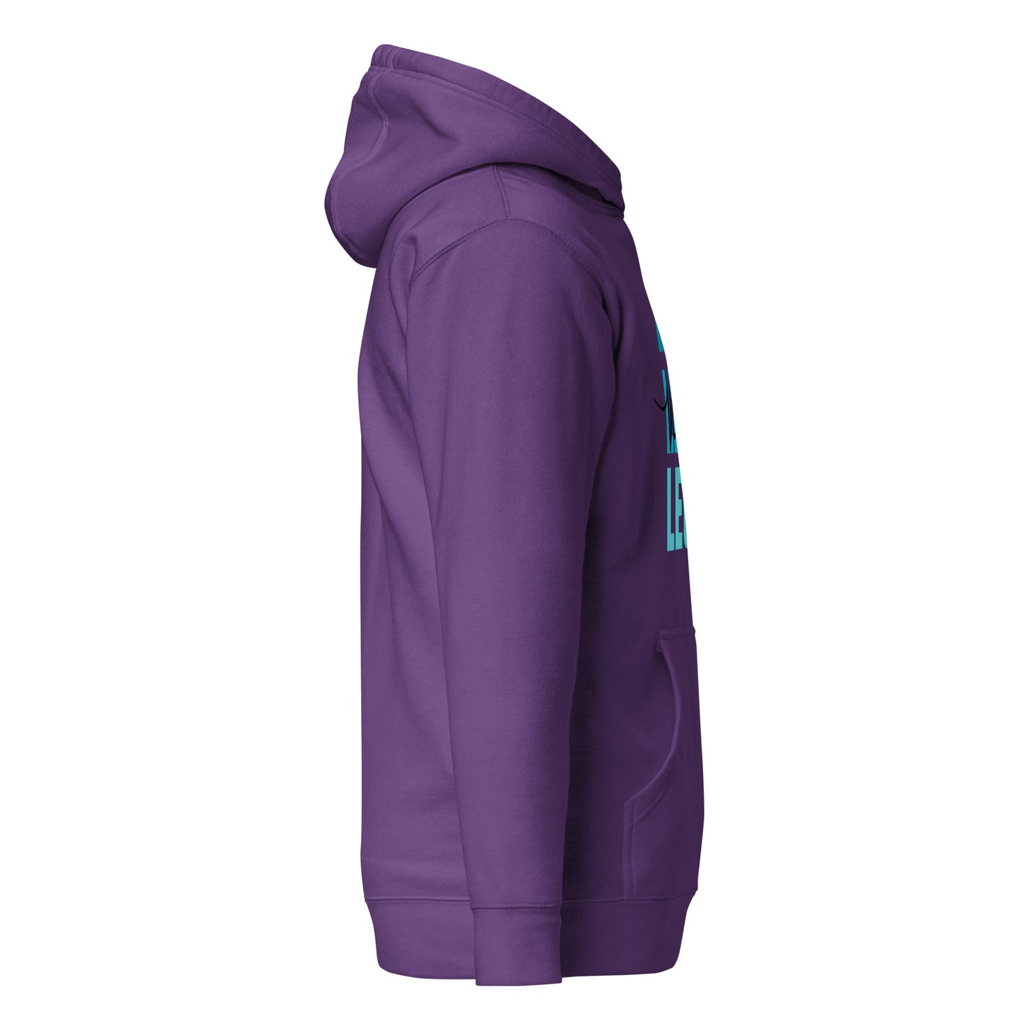 Leo Vibes Hoodie