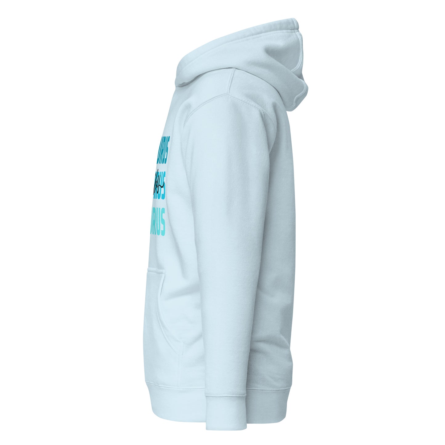 Taurus Vibes Hoodie